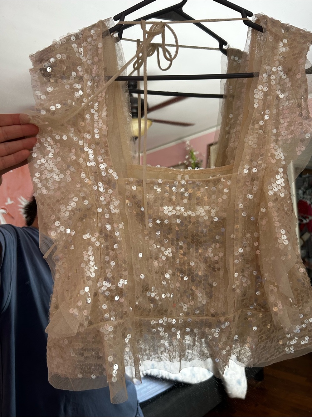Anthropologie Iridescent Sequin Sheer Tulle Crop Top in Champagne - Picture 3 of 8